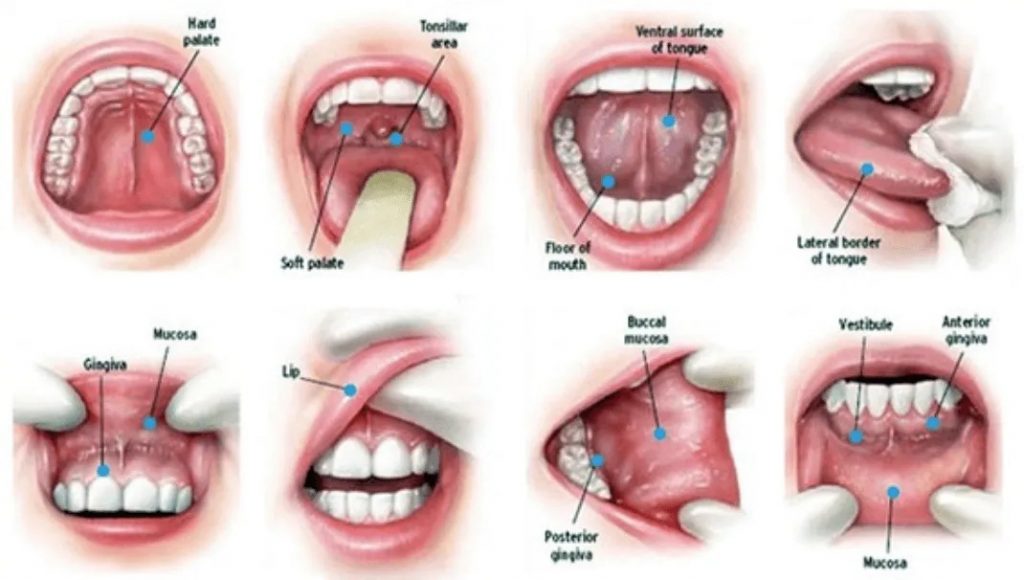 get yourself oral cancer screen
